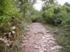 Via Ignatia