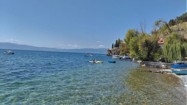 канео