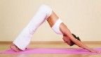 joga