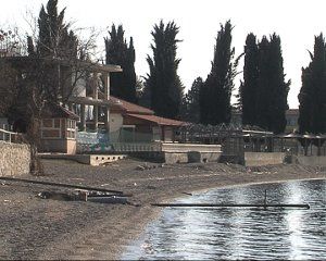 shankovi