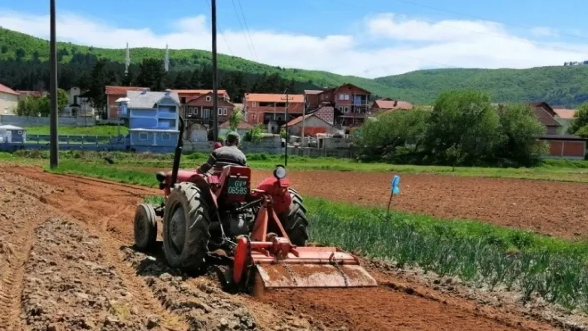 Земјоделство