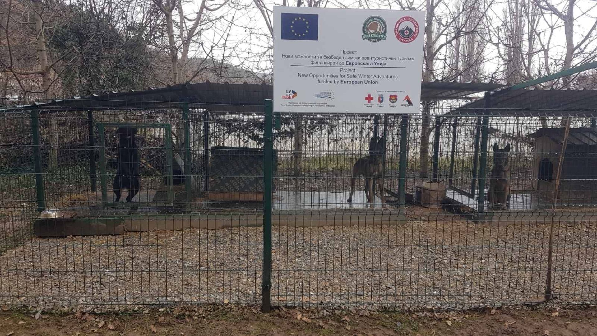 Боксови Куче спасител