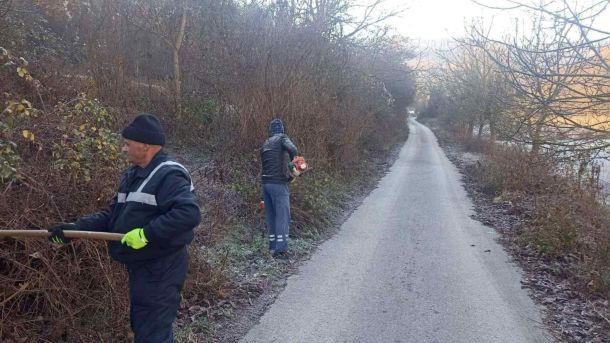 Вапила Расино