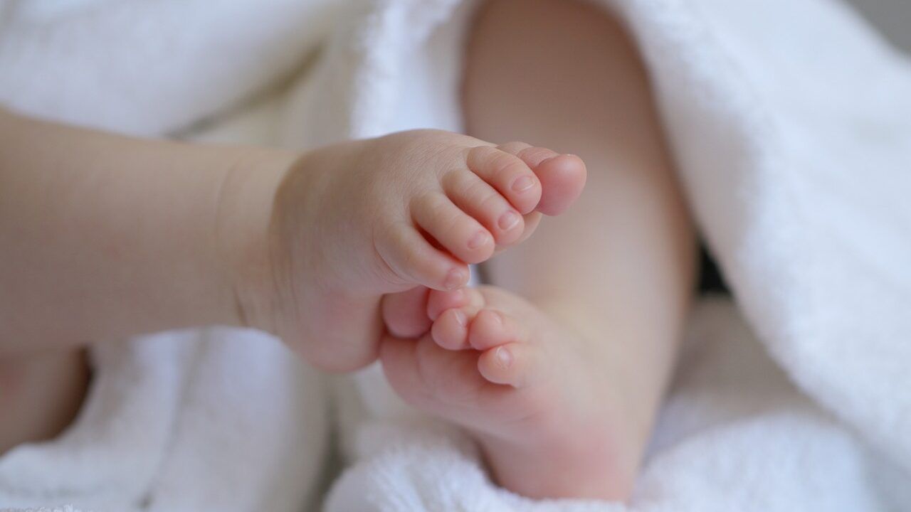 baby, child, grandchild, feet, baby feet, infant, children's feet, toes, cute, baby, baby, baby, baby, baby