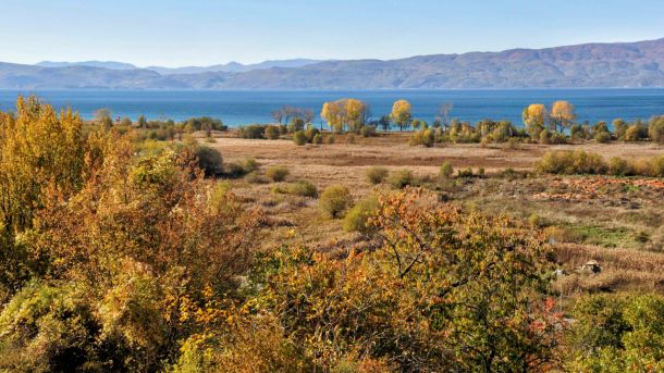 Студенчишко блато