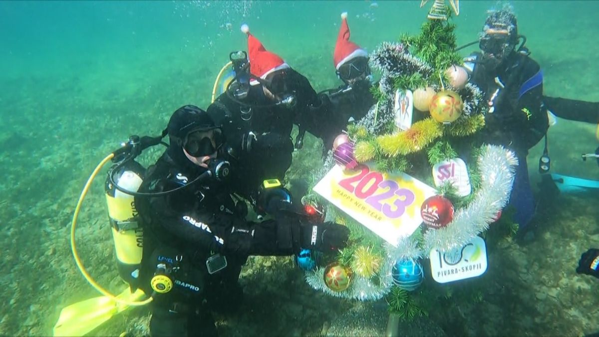 Елка под вода