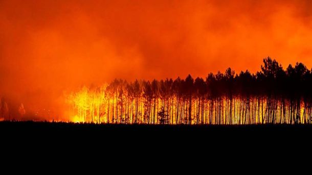 Голем шумски пожар во Франција