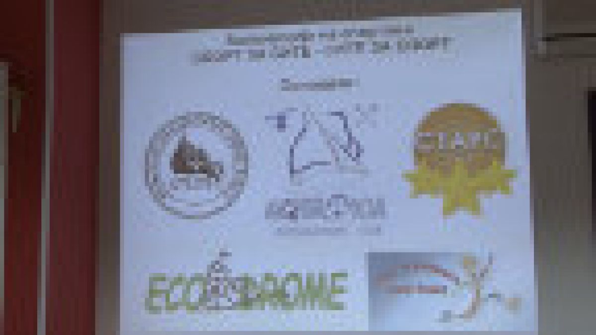 asocijacija na sportovi