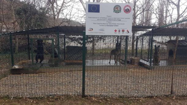 Боксови Куче спасител