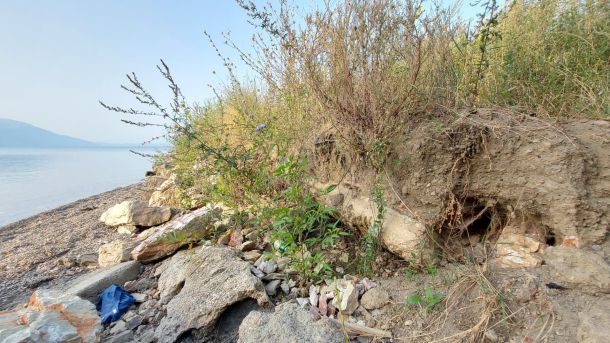 Насип Далјан