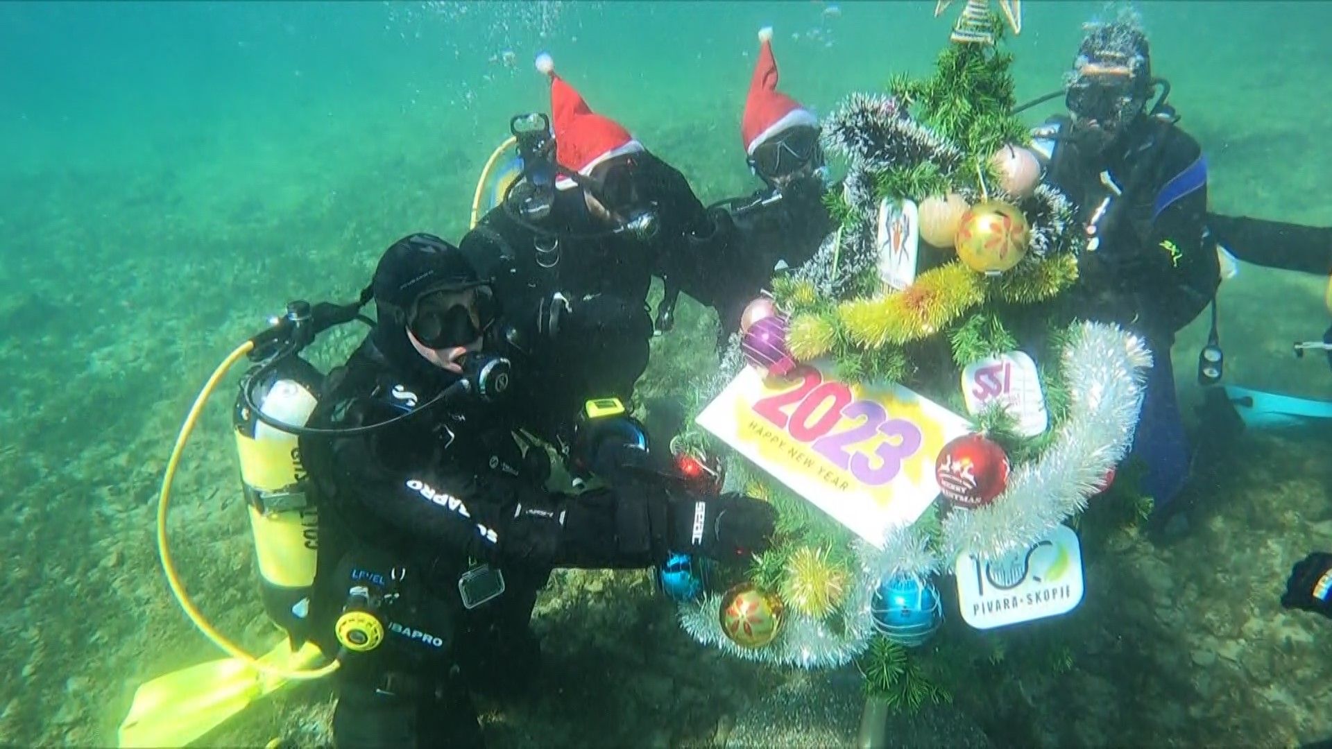 Елка под вода