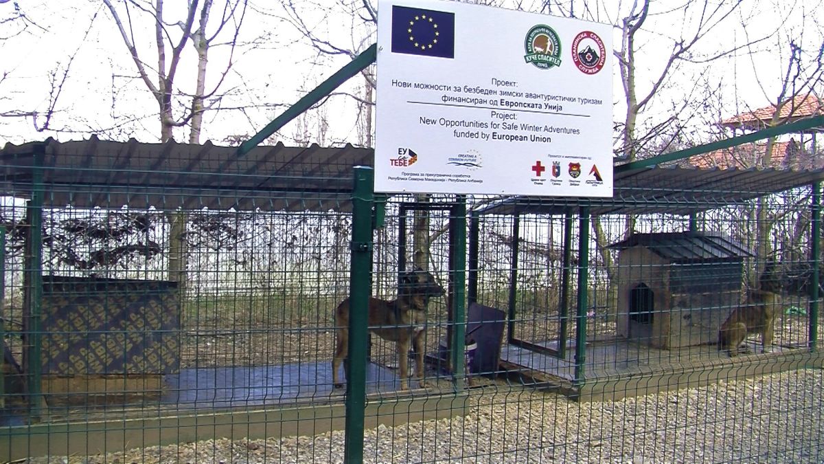 Куче Спасител