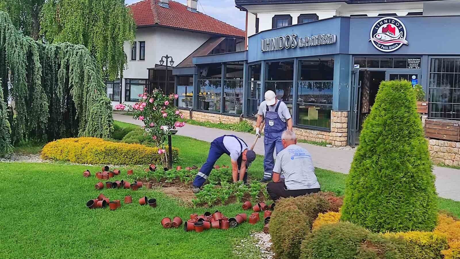 паркови и зеленило