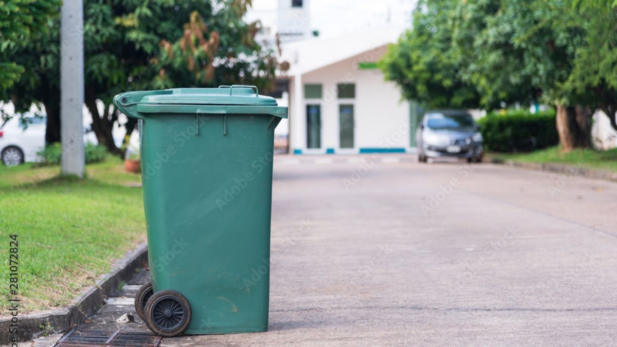 Канта за ѓубре