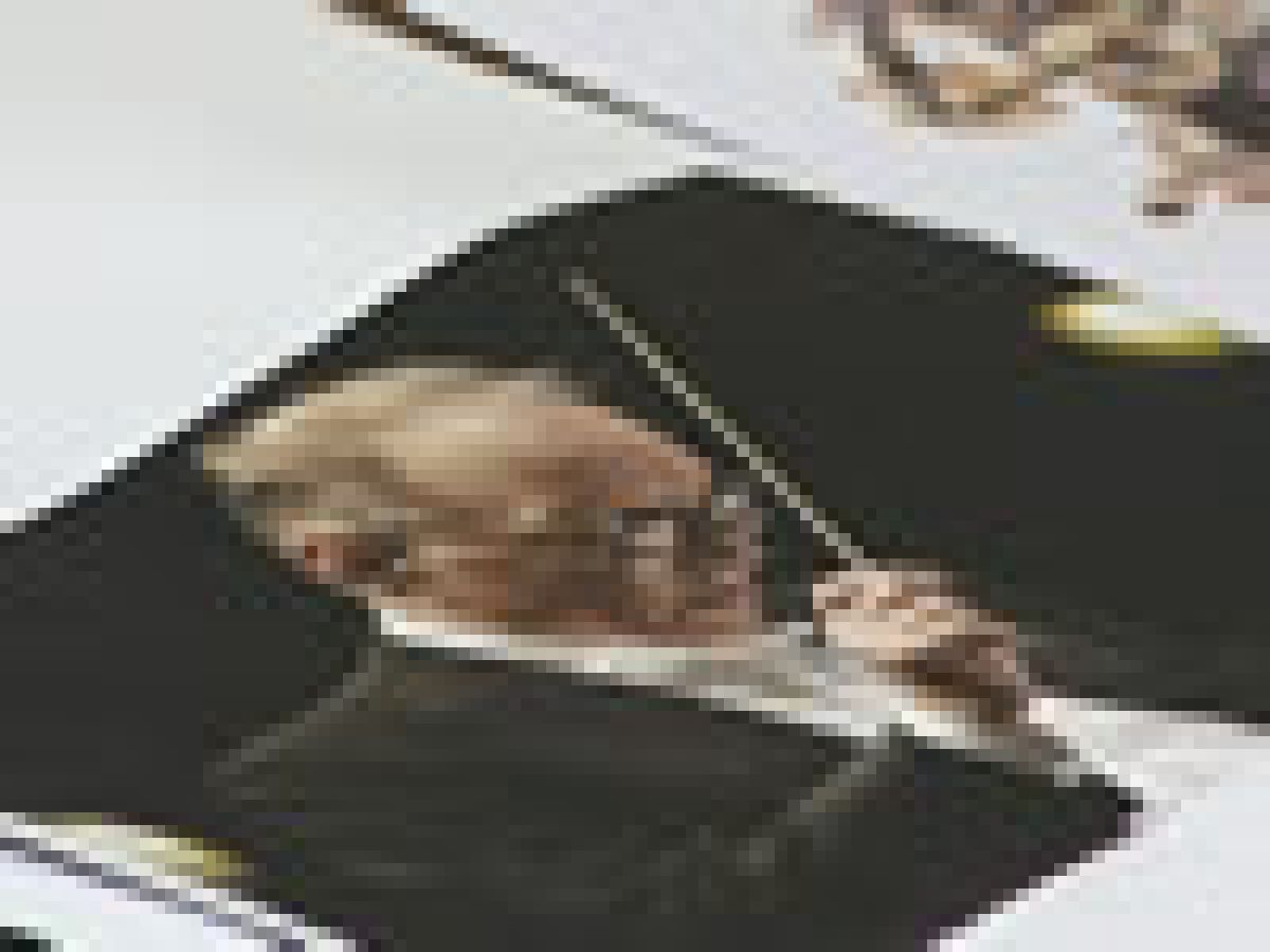 фотографија