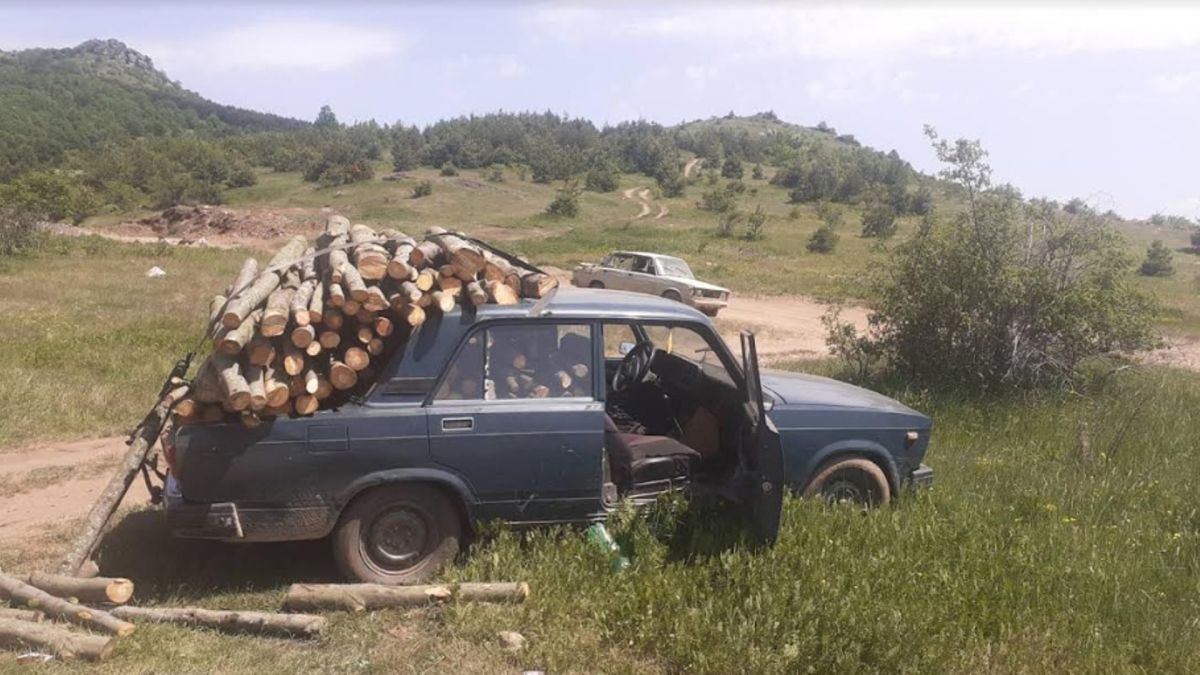 Пустошење шуми прилепско