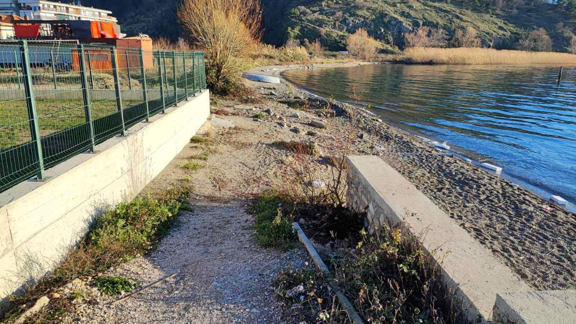 Патека Канео Далјан