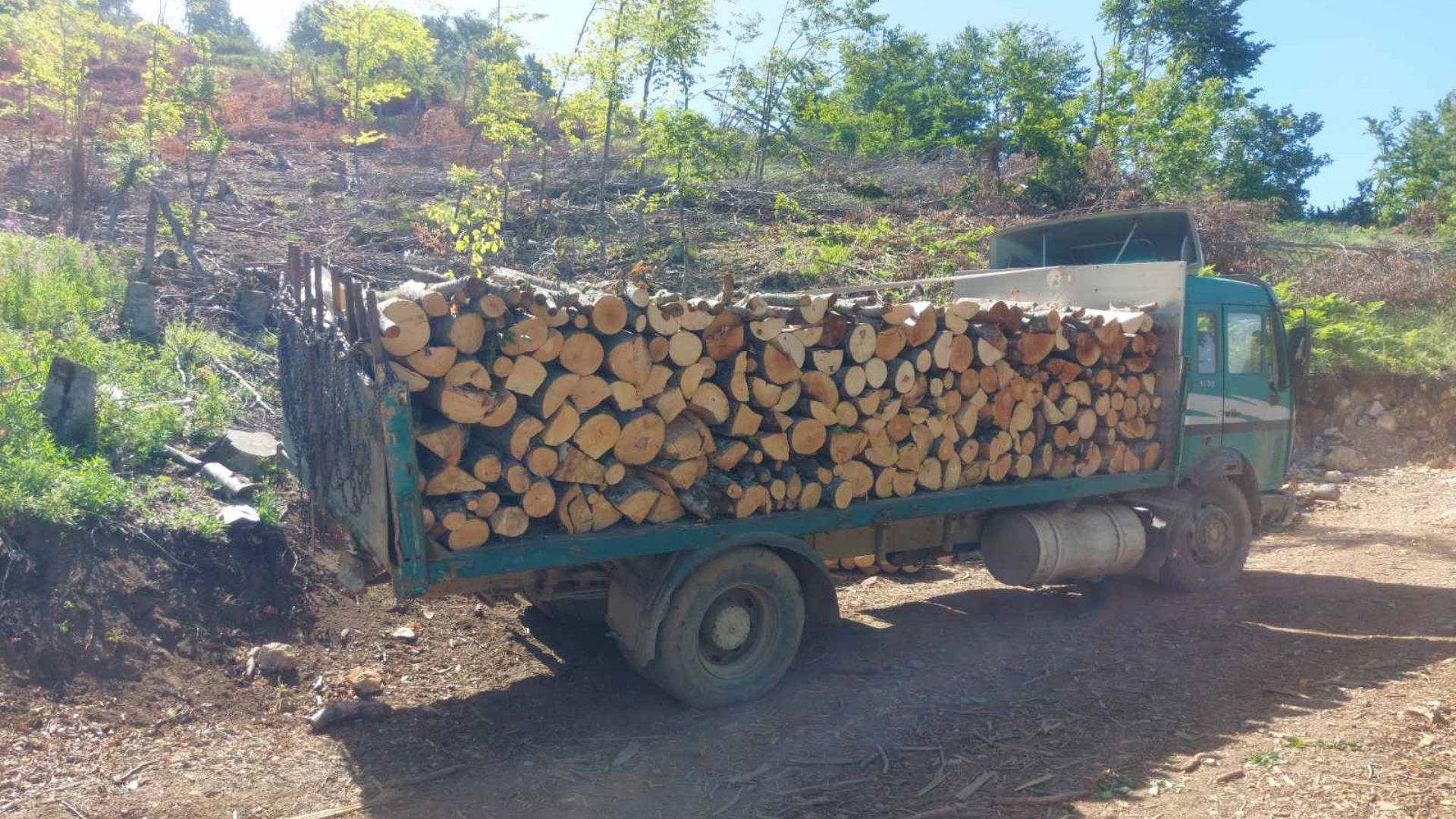 Дивокрадци струшко