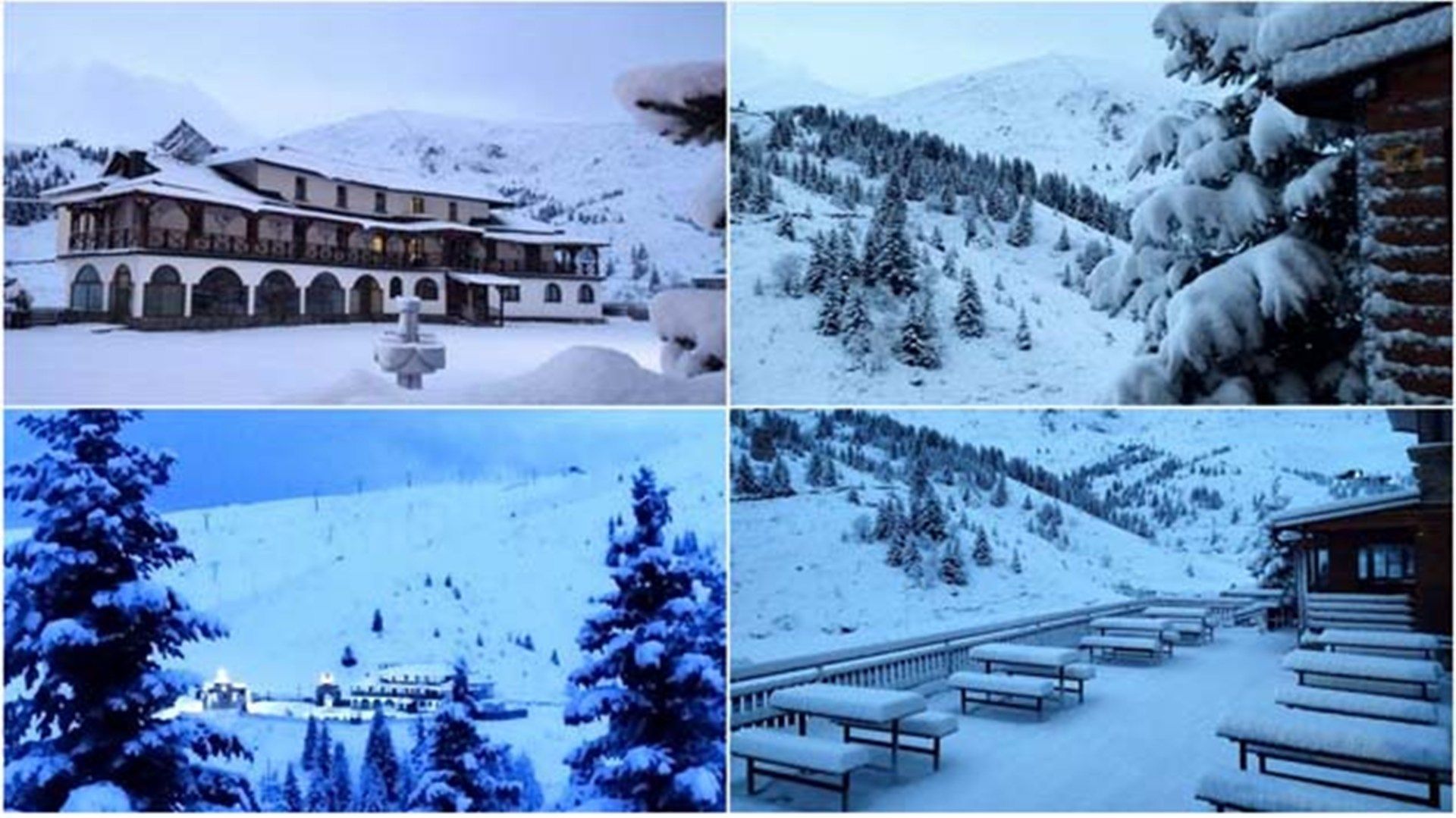 Попова Шапка