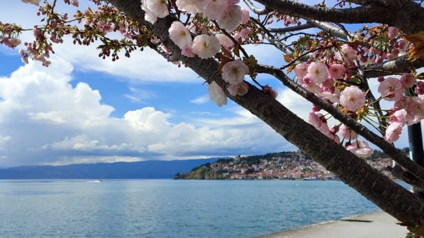 Фото Ѓоко Симјаноски, кеј