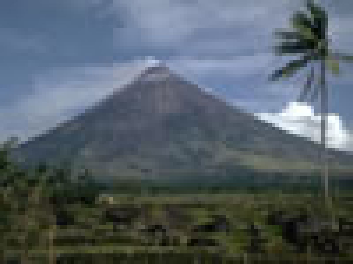 Mayon