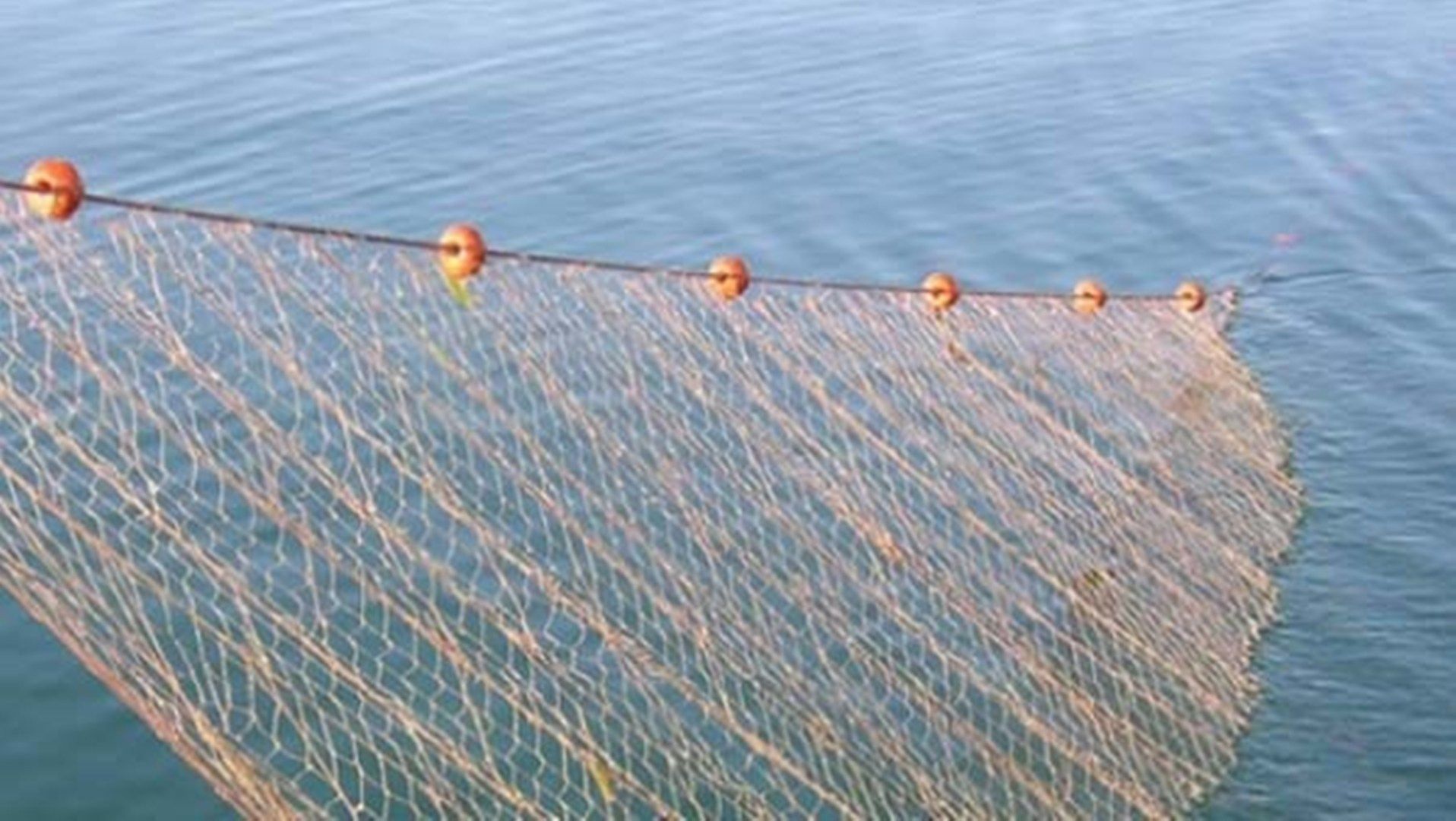 Рибарска мрежа