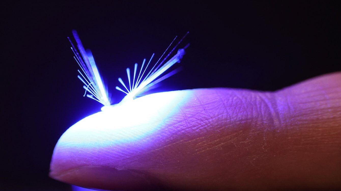 робот самовили глуварче