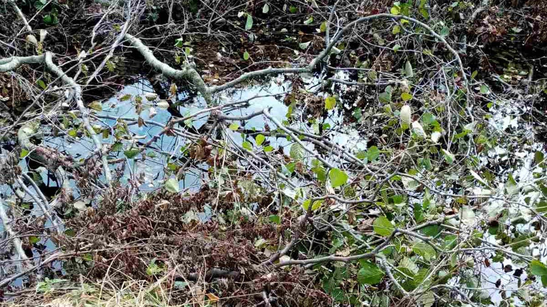 Коселска река