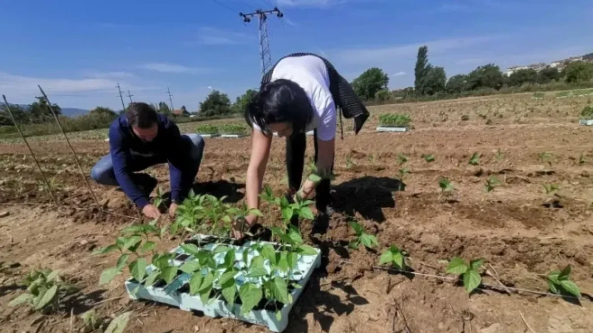 Градинарски производи