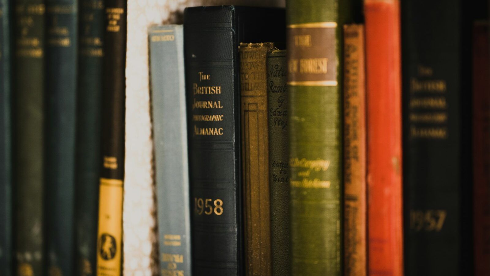 piled books on brown wooden shelf