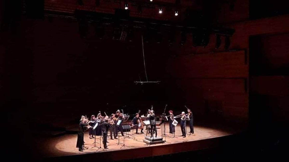 Камерен оркестар Профундис