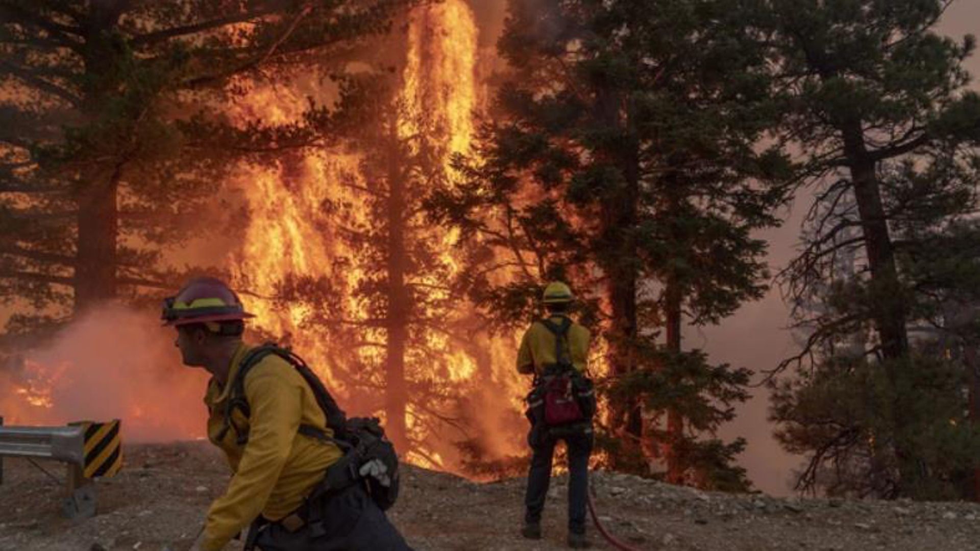 Шумски пожар