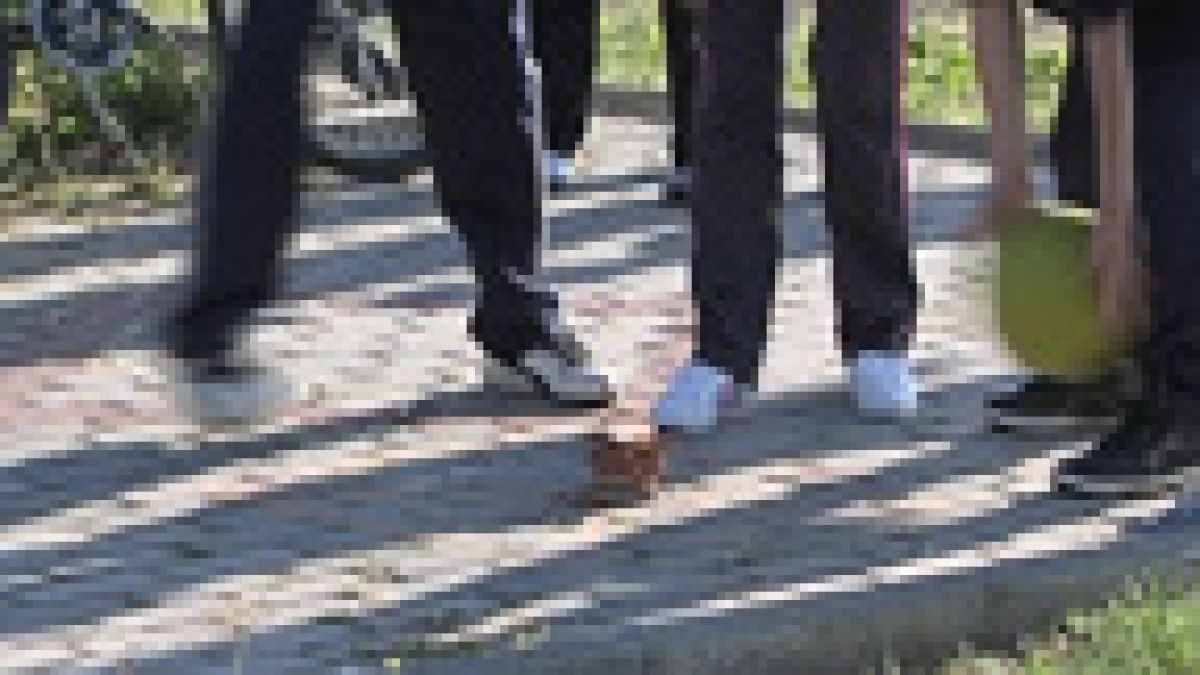 Да им ги вратиме децата на игрите