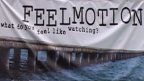 feelmotion