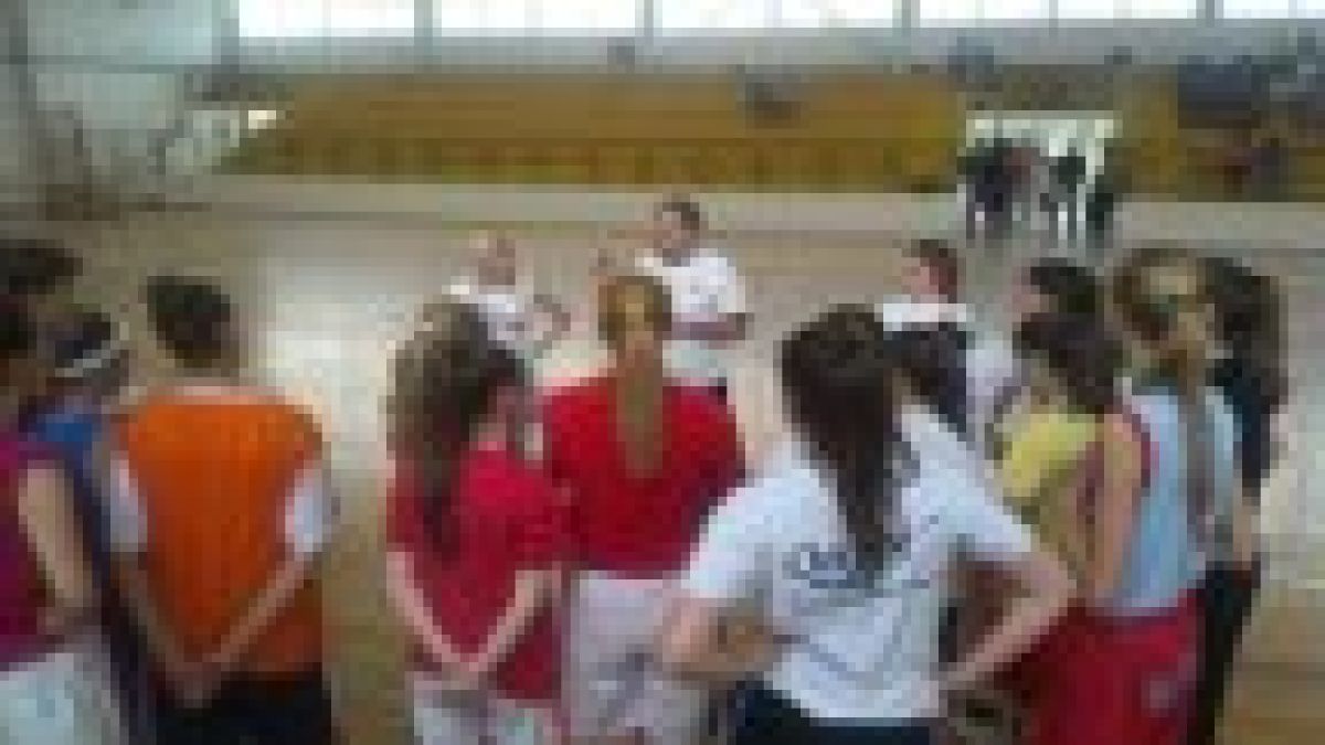 evropsko kosarka zeni