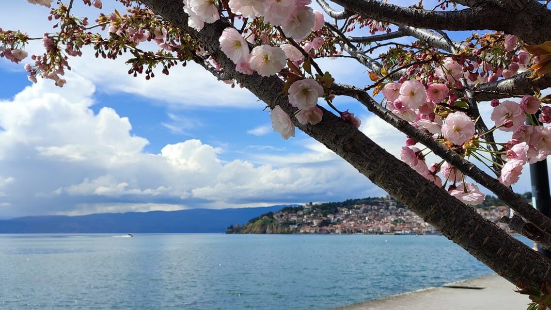 Фото Ѓоко Симјаноски, кеј