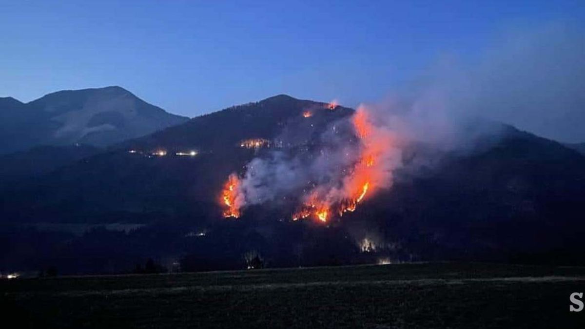 Шумски пожар во Словенија