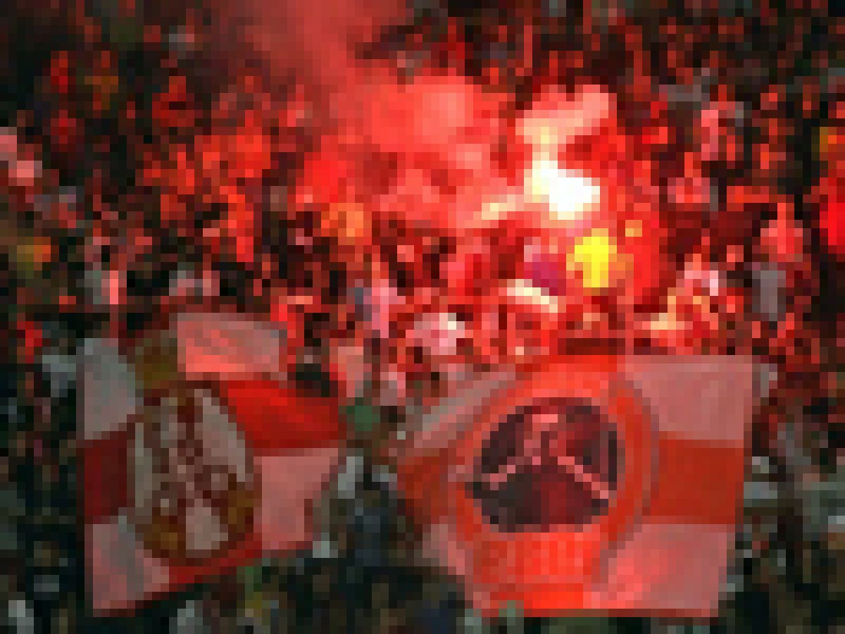 crvena zvezda