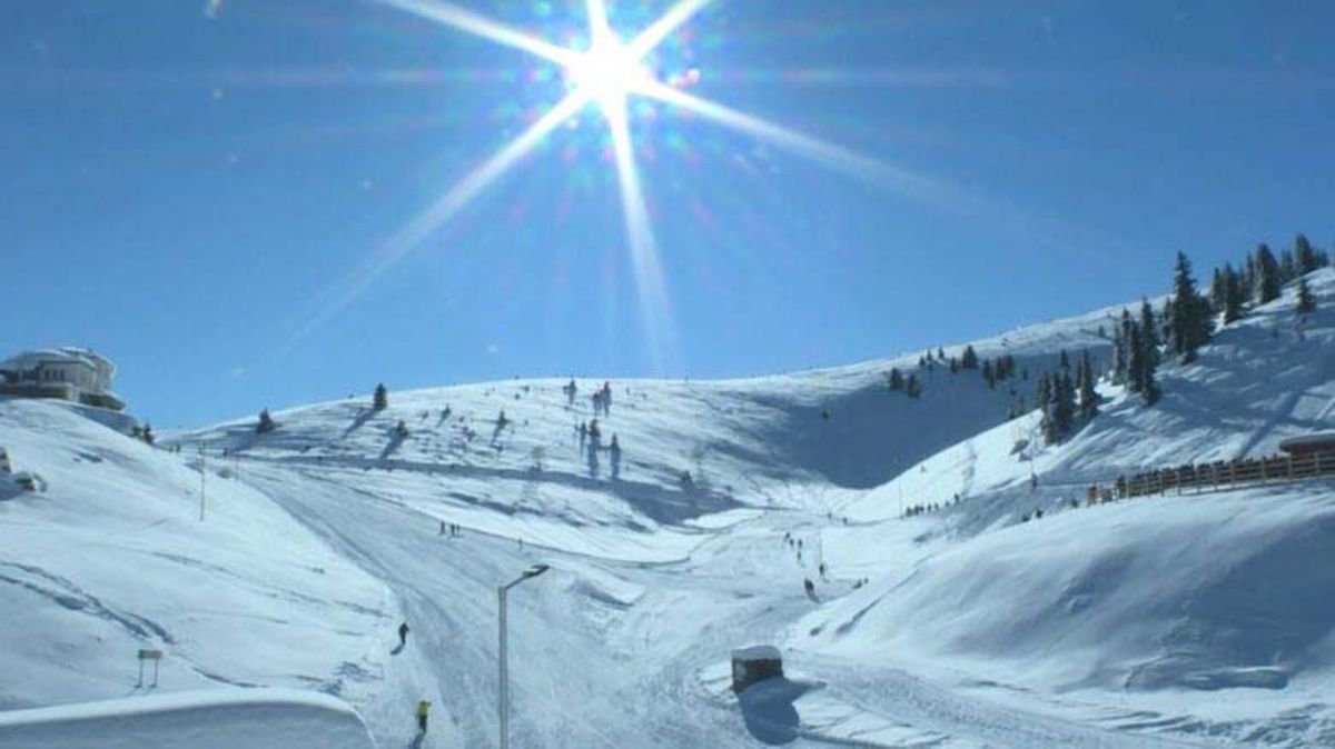 Попова Шапка