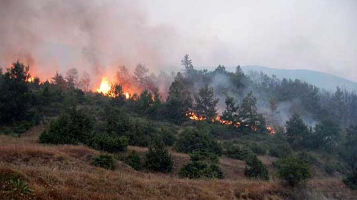 Галичица пожар