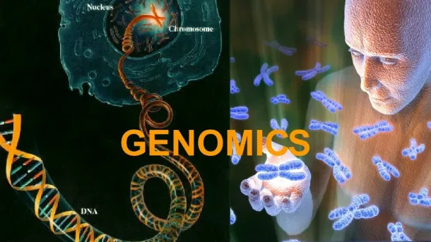 геном