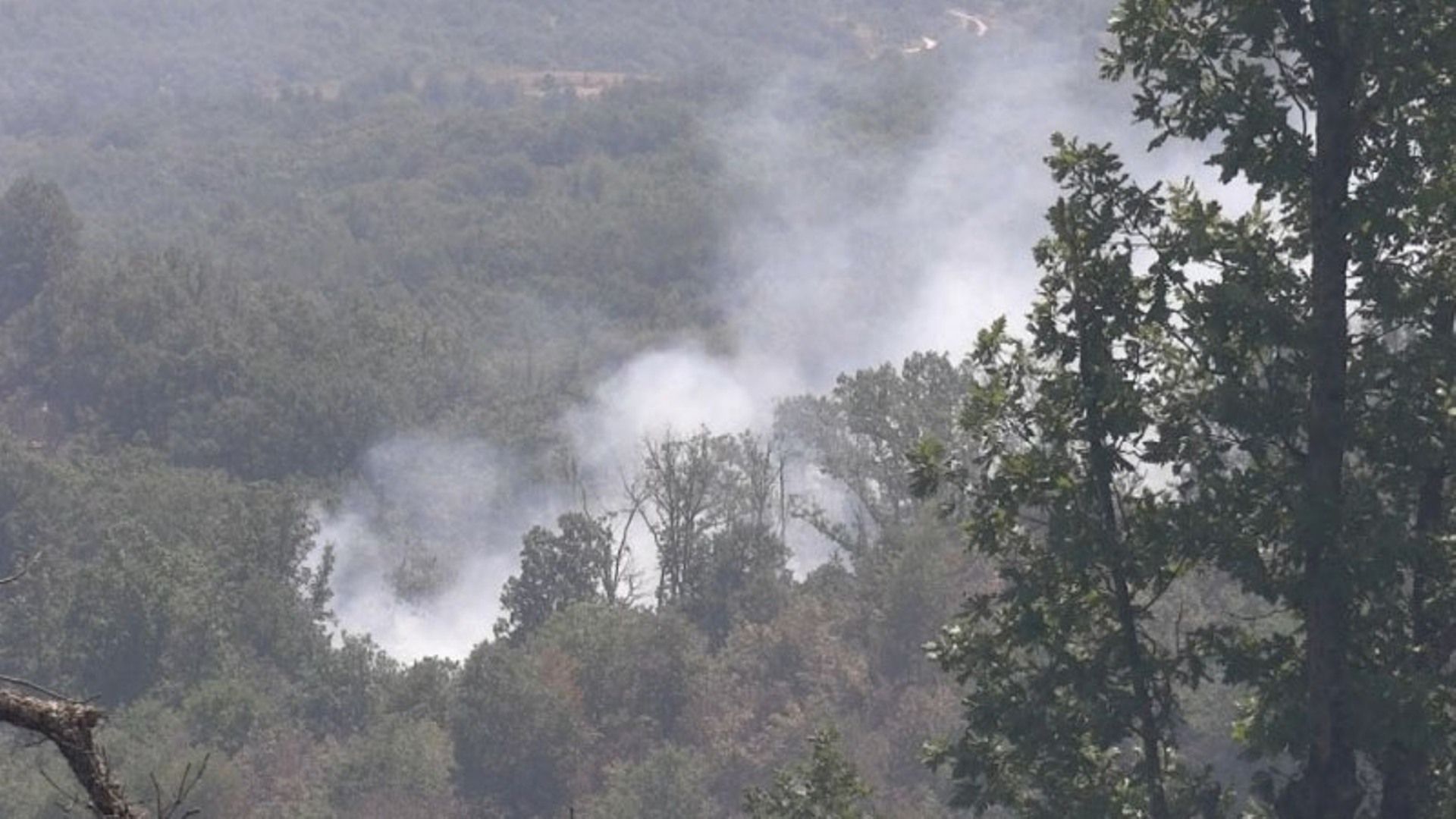 Пожар беровско