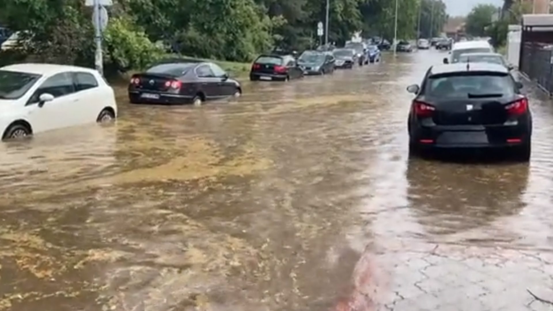 Силно невреме во Белград