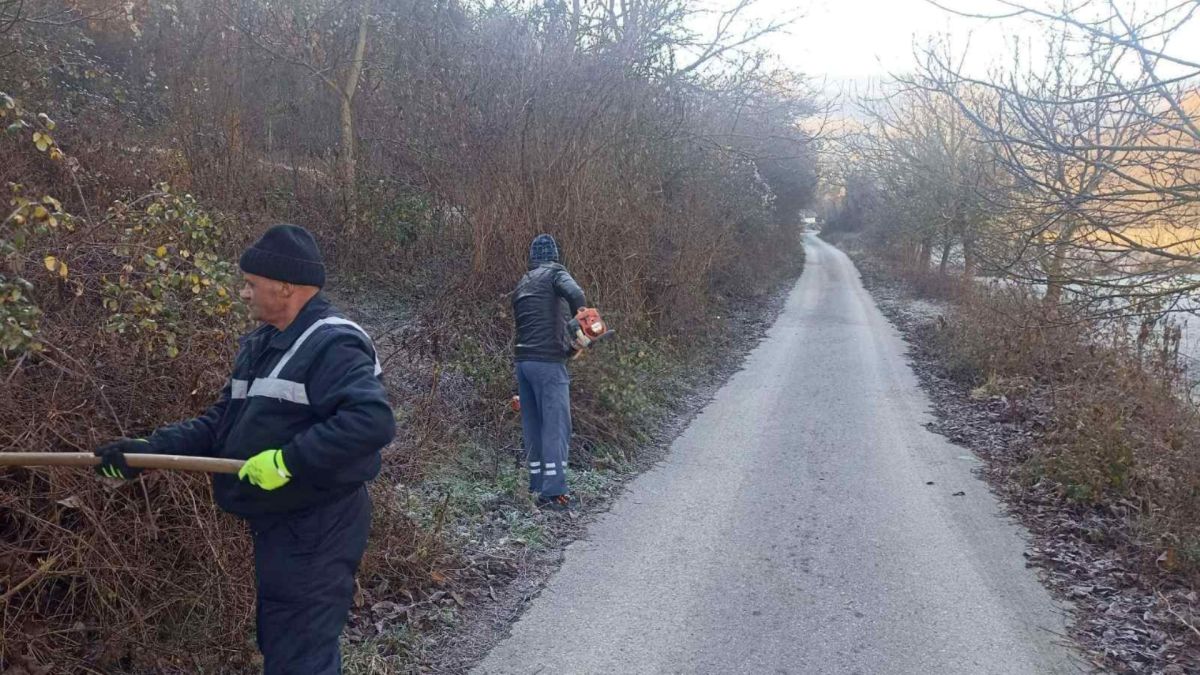 Вапила Расино