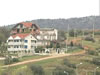 Cekostina