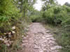 Via Ignatia