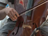 violoncelo