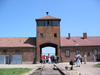 Ausvic