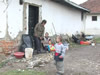 Mitrevi