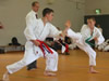 karate